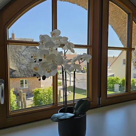 Grosses Doppelhaus Unter Reet Tatil Evi Rerik