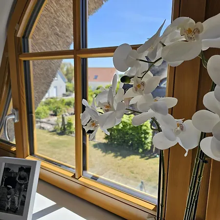 Grosses Doppelhaus Unter Reet Tatil Evi Rerik