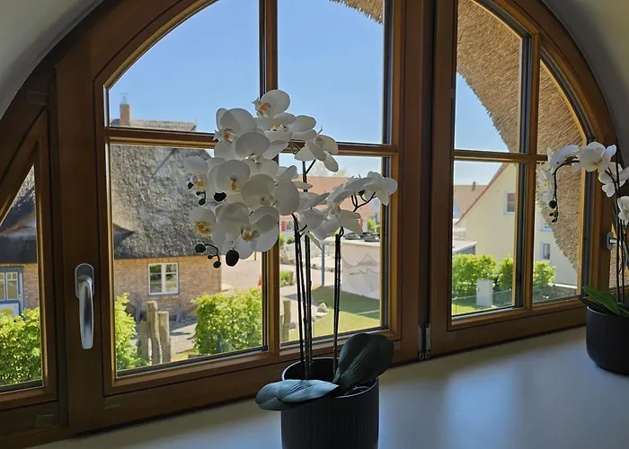 Grosses Doppelhaus Unter Reet Tatil Evi Rerik