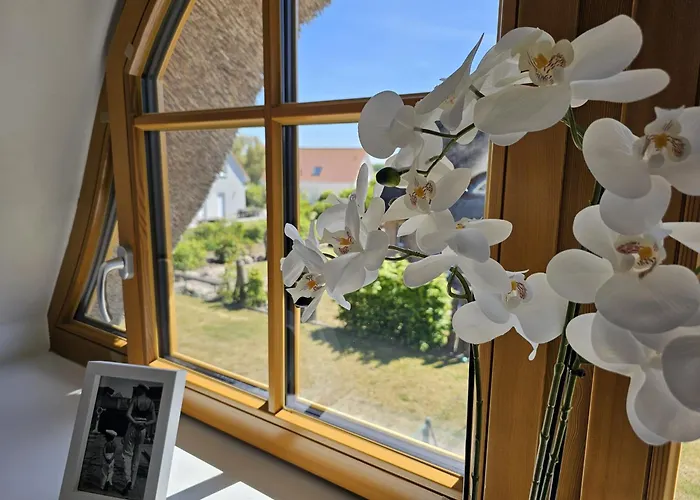 Grosses Doppelhaus Unter Reet Tatil Evi Rerik